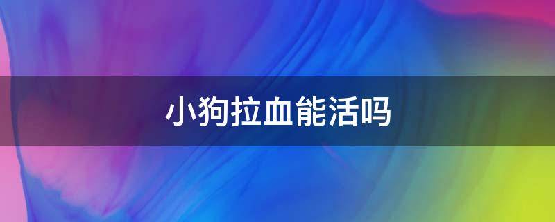 小狗拉血能活吗 小狗拉血能活吗吐白沫