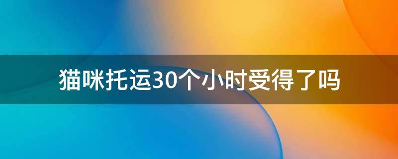 猫咪托运30个小时受得了吗（猫咪托运十几个小时会有危险吗）