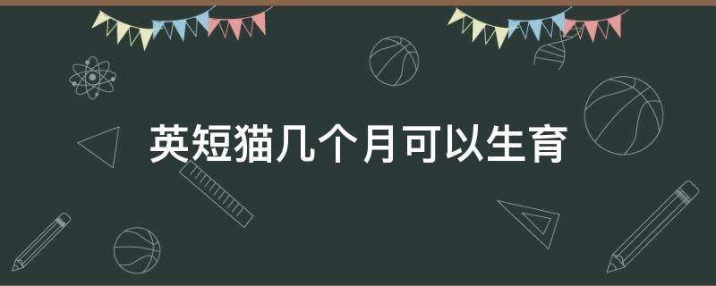 英短猫几个月可以生育（英短猫怀孕几个月可以生猫）