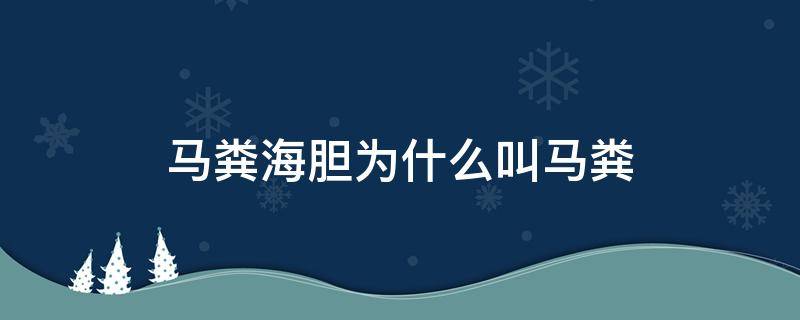 马粪海胆为什么叫马粪 马粪海胆为什么叫马粪海胆