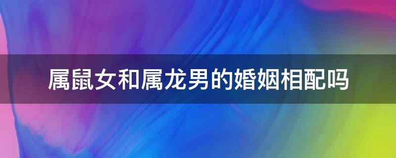 属鼠女和属龙男的婚姻相配吗（属鼠女与属龙男婚配好不好）