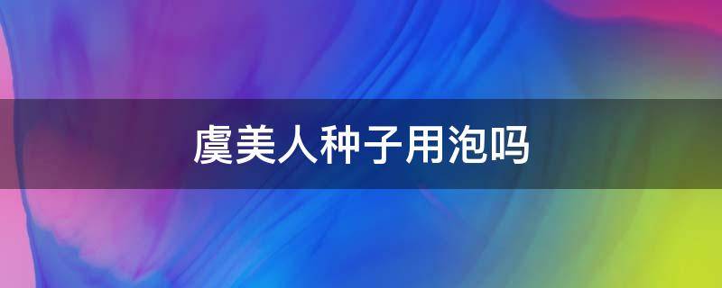 虞美人种子用泡吗（虞美人种子有什么作用）