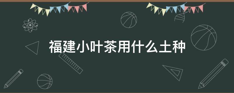 福建小叶茶用什么土种 小叶福建茶养殖土壤要求