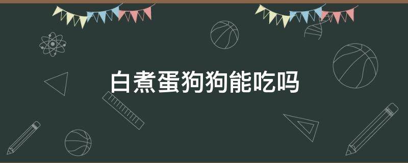 白煮蛋狗狗能吃吗（煮熟的蛋白可以给狗吃吗）