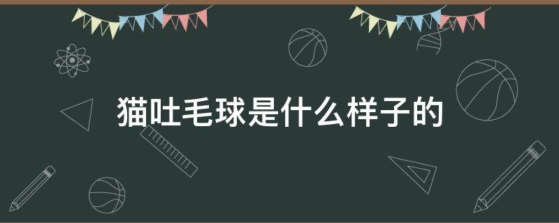 猫吐毛球是什么样子的 猫吐毛球是什么样子的图片