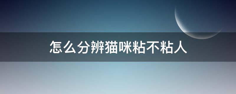 怎么分辨猫咪粘不粘人 猫咪太粘人是怎么回事