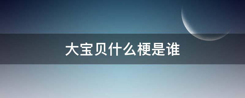 大宝贝什么梗是谁 大宝贝小宝贝什么梗