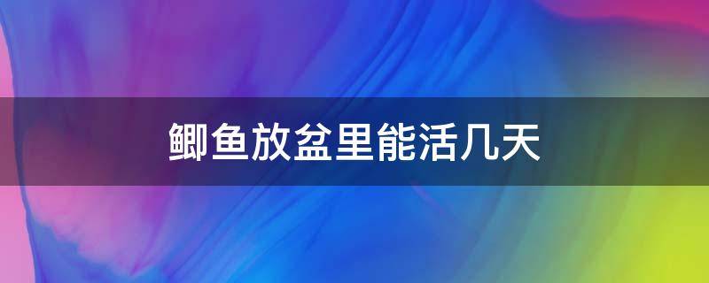 鲫鱼放盆里能活几天 鲫鱼在水缸里能活几天