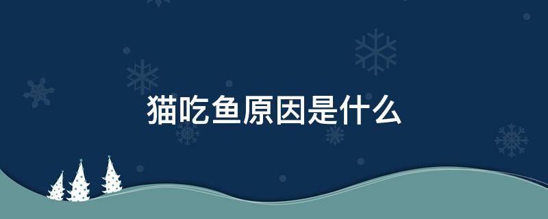 猫吃鱼原因是什么 猫吃鱼的原因是什么