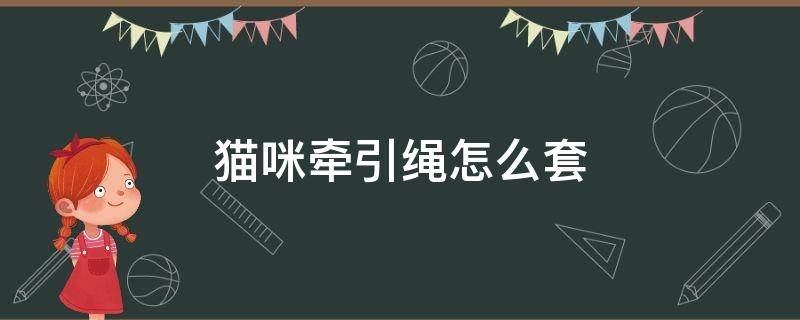 猫咪牵引绳怎么套 猫咪牵引绳怎么套上去