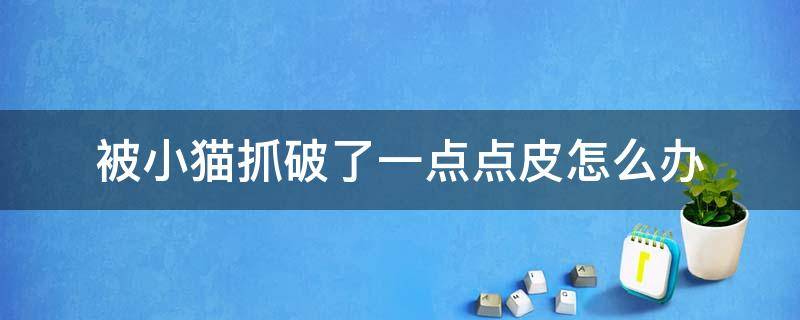 被小猫抓破了一点点皮怎么办 被小猫咪抓破了一点皮要不要紧