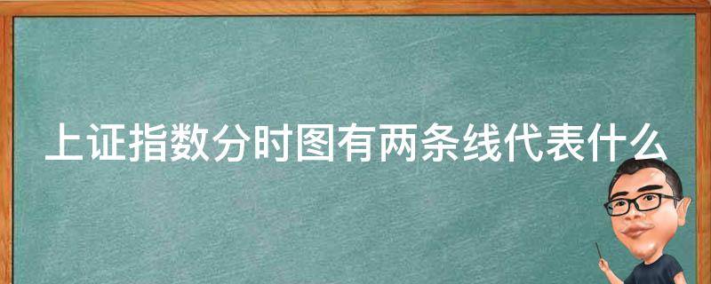 上证指数分时图有两条线代表什么 上证分时线的两根线