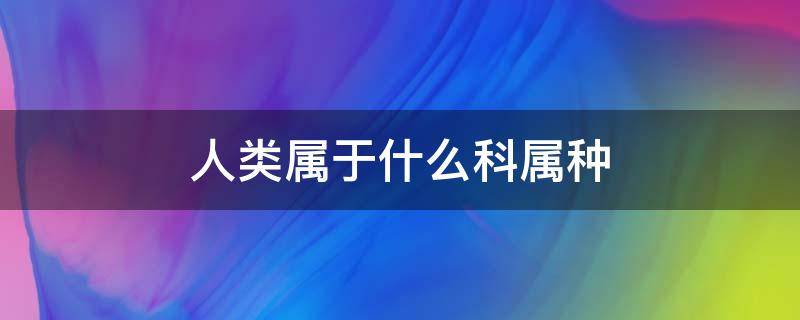 人类属于什么科属种 人类属于什么物种