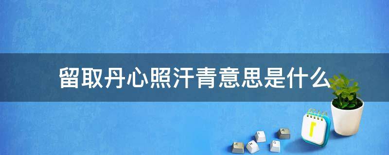 留取丹心照汗青意思是什么（留取丹心照汗青是啥意思）