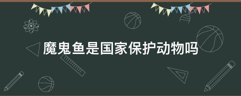 魔鬼鱼是国家保护动物吗 魔鬼鱼是国家保护动物吗?