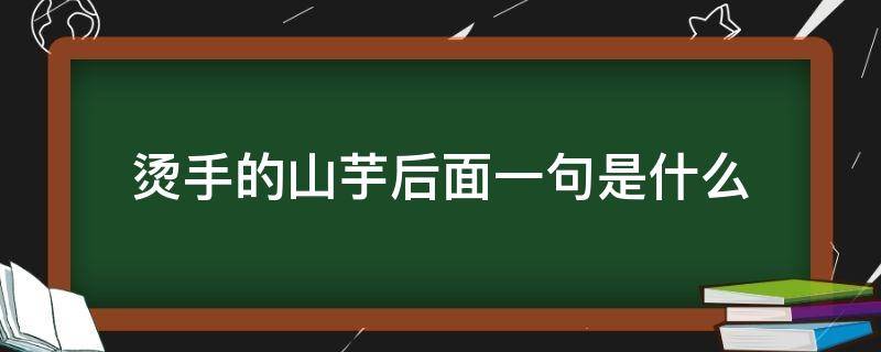 烫手的山芋后面一句是什么（烫手的山芋的意思）