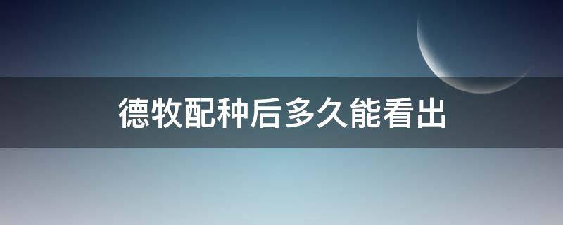 德牧配种后多久能看出（德牧配种后多少天生小狗）