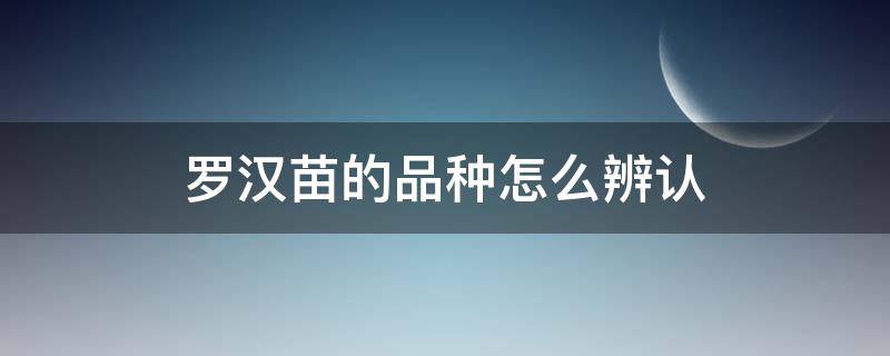 罗汉苗的品种怎么辨认（罗汉鱼苗怎么分辨品种）