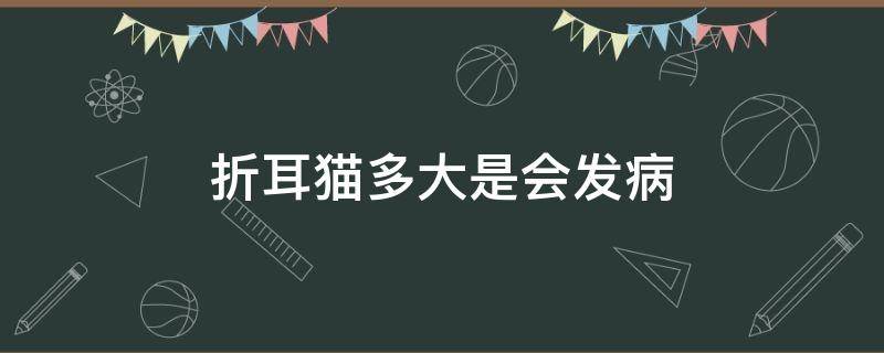 折耳猫多大是会发病 折耳猫多长时间会发病