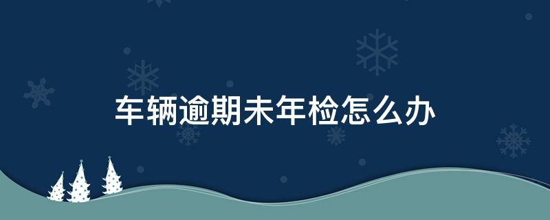 车辆逾期未年检怎么办（6年内车辆逾期未年检怎么办）