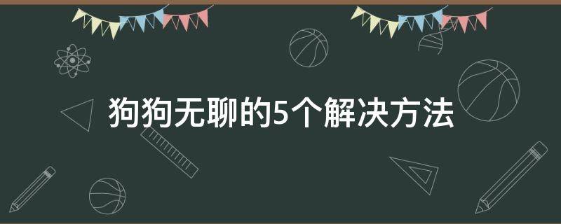 狗狗无聊的5个解决方法 狗狗很无聊是什么表现