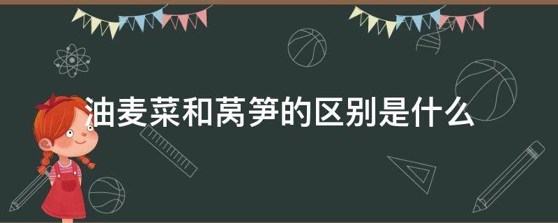 油麦菜和莴笋的区别是什么 油麦菜和莴笋是一种菜吗