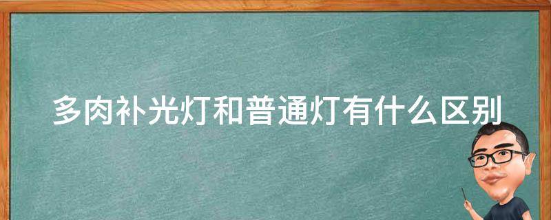 多肉补光灯和普通灯有什么区别（普通led灯能给植物补光吗）