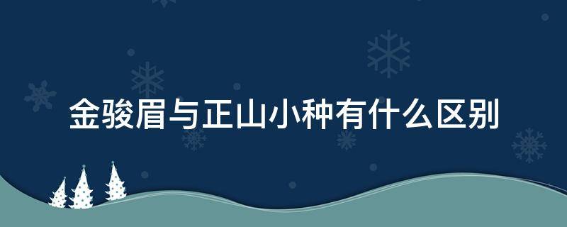 金骏眉与正山小种有什么区别（正山小种和金骏眉什么区别）