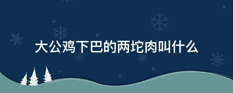 大公鸡下巴的两坨肉叫什么 公鸡下巴红肉是什么