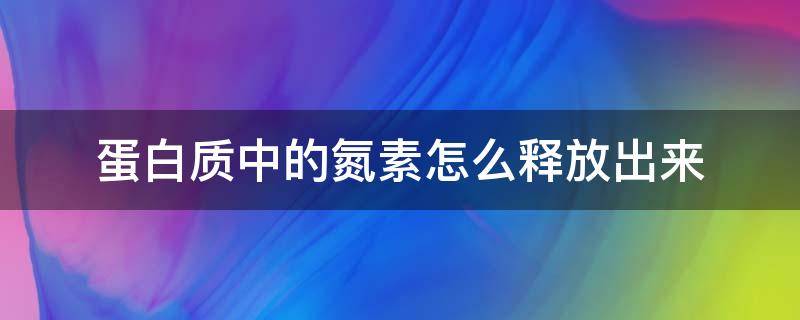 蛋白质中的氮素怎么释放出来（氮在体内的储留量叫蛋白质的）