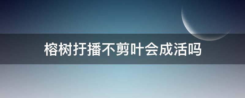 榕树扜播不剪叶会成活吗 嫁接的榕树放室内为什么会掉叶