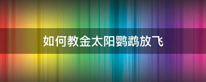 如何教金太阳鹦鹉放飞 太阳鹦鹉怎么训练