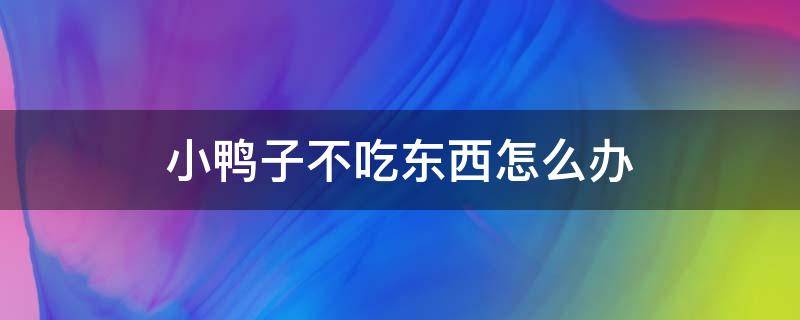 小鸭子不吃东西怎么办 刚买回来的小鸭子不吃东西怎么办