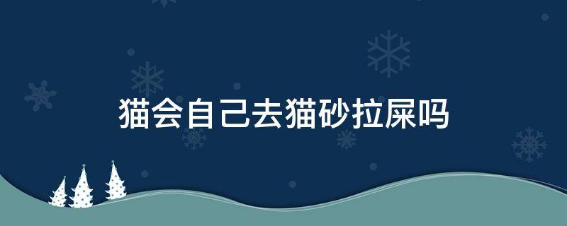 猫会自己去猫砂拉屎吗（猫咪会自己去猫砂拉屎吗）