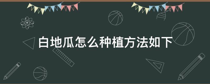 白地瓜怎么种植方法如下（白地瓜的种植方法与管理方法是什么）