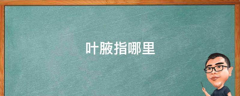 叶腋指哪里 腋指的身体哪个位置