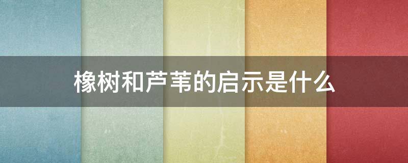 橡树和芦苇的启示是什么（橡树和芦苇得到了什么启示）