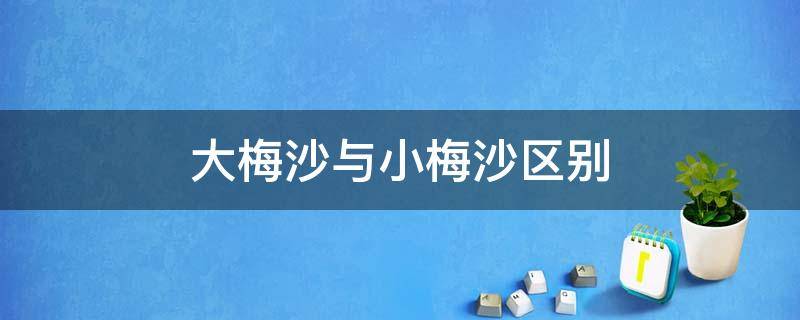 大梅沙与小梅沙区别 大梅沙与小梅沙有什么不同