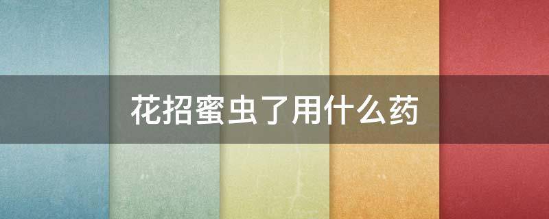 花招蜜虫了用什么药（花招蜜虫打什么药）