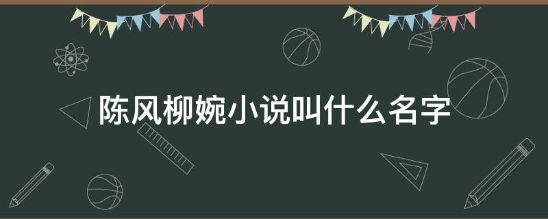 陈风柳婉小说叫什么名字（有本小说主角叫陈风柳婉）