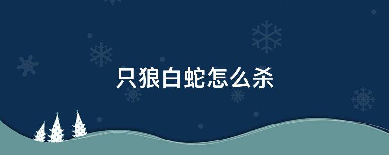 只狼白蛇怎么杀（只狼白蛇如何杀）