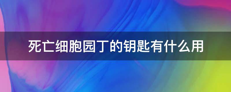 死亡细胞园丁的钥匙有什么用 死亡细胞园丁的钥匙