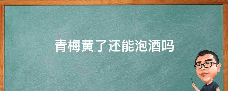 青梅黄了还能泡酒吗 青梅黄了可以泡酒吗
