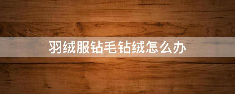 羽绒服钻毛钻绒怎么办 羽绒服钻毛该怎么办