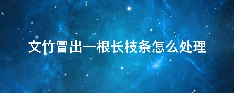 文竹冒出一根长枝条怎么处理 文竹长了一根很长的枝怎么处理