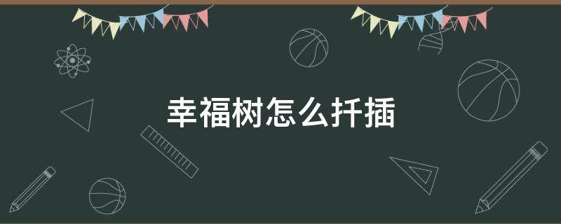 幸福树怎么扦插（幸福树怎么扦插最简单视频）