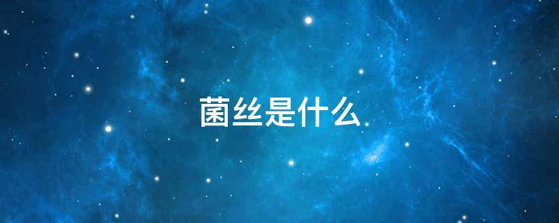 菌丝是什么 菌丝是什么样子的