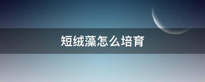 短绒藻怎么培育（短绒藻怎么培养）