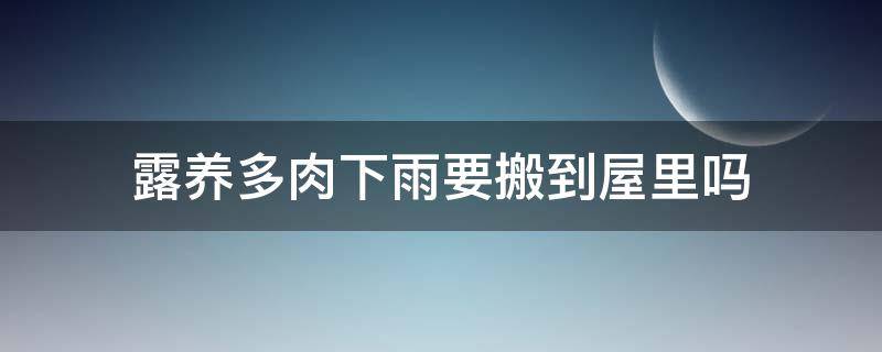 露养多肉下雨要搬到屋里吗 下雨天要把多肉搬进室内吗