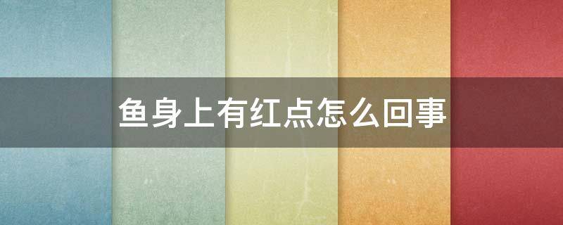 鱼身上有红点怎么回事 鱼身上有红点怎么回事原因
